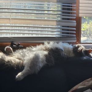 Meet your Posher, Leah